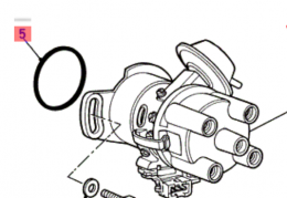  Gyri O